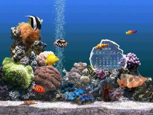 SereneScreen Marine Aquarium 3.0 - Download 3.0